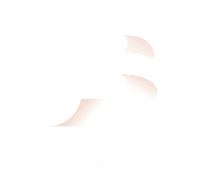 BitDigi Logo